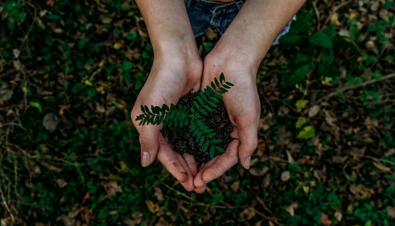Sustainable hands in dirt