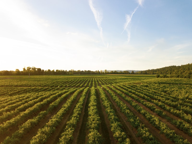 Modern agricultural equipment and solar integration