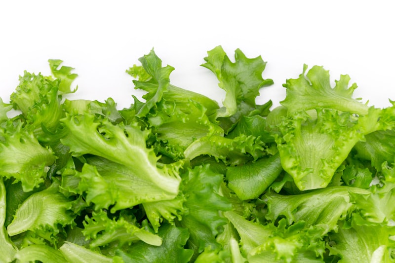 Laciniato Greens